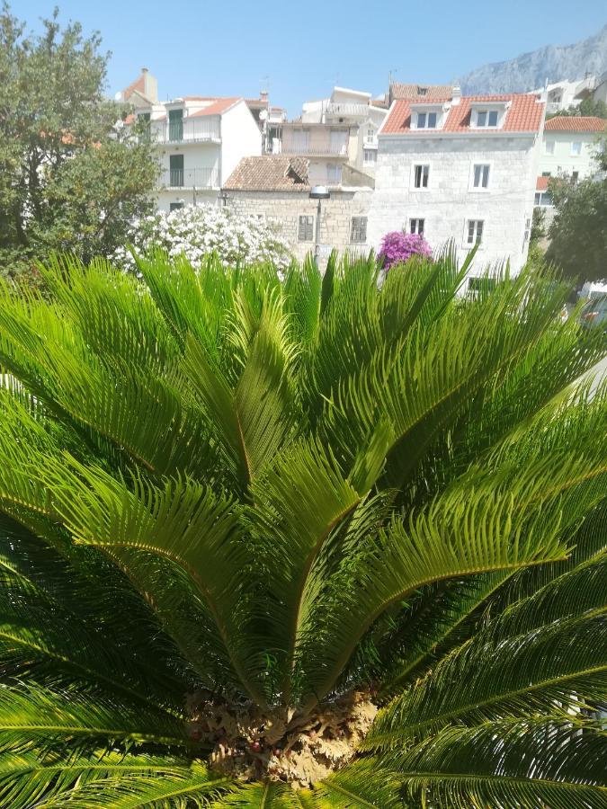 Apartmani kike Makarska Bagian luar foto